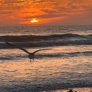 Meet your Posher, Bea